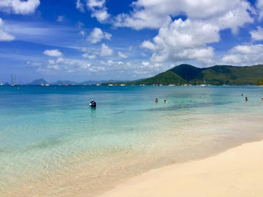 Hamo Cosy Piscine Proche Plage Сент-Анн Экстерьер фото
